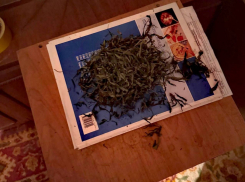 Крупную партию марихуаны нашли дома у жителя Ростовской области