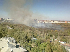 Огромная часть первомайской рощи полыхает в Ростове-на-Дону