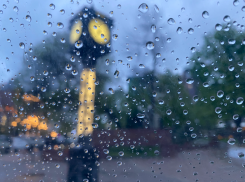 В Ростове на праздничных выходных будет дождливая и прохладная погода 