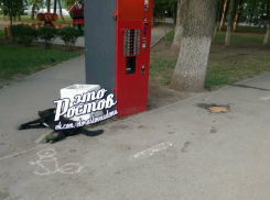 В Ростовских парках продолжают травить собак