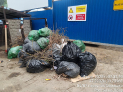 В Ростове борются со стихийными свалками на контейнерных площадках