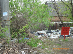 Шесть самых вопиющих нарушений городской среды обнаружили чиновники в Ростове  