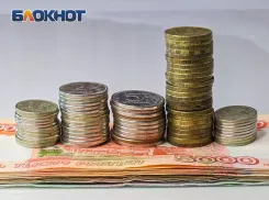 На Дону погашена задолженность по зарплате на 25 млн рублей