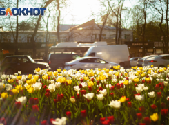 Синоптики спрогнозировали теплый март после резкого потепления в Ростове