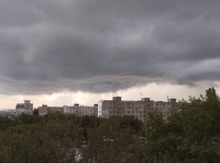 В Ростове коммунальные службы переведены в режим повышенной готовности из-за непогоды