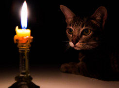 Ростовчан ждут предновогодние отключения света