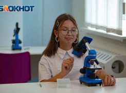 В Ростовской области 73% родителей удовлетворены качеством образования в школах