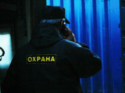 В Ростове оштрафовали казачьего атамана за охрану института без лицензии