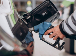 Бензин в Ростовской области снова подорожал 