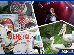 Поздравляем Хор Турецкого, ходим по грибы и угощаемся ухой: куда пойти в Ростове на этой неделе