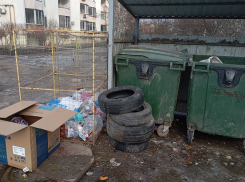 В Ростовской области машины «серых возчиков» мусора хотят отправлять на «штрафные стоянки»