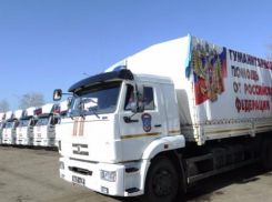 В аэропорту Ростова сел борт МЧС с гуманитарным грузом  для ЛНР и ДНР  