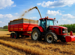 В Роструде рассказали о жуткой смерти тракториста во время уборки урожая в Ростовской области