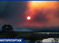 Крупный пожар на левом берегу Дона продолжают тушить: фото с места событий