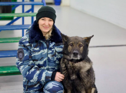 В Ростове-на-Дону служебный пес Вегас завершил карьеру и вышел на пенсию 