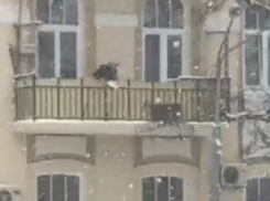 Старушка-веселушка открыла снежную охоту на прохожих с четвертого этажа