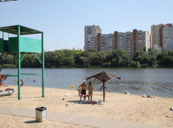 Власти Ростова хотят привлечь инвестора для реконструкции парка «Дружба»