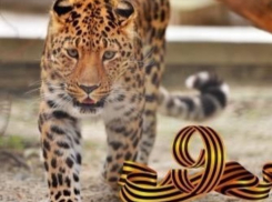 Ростовский зоопарк приглашает 9 мая на праздничную фееричную программу