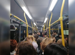 В донском Роспотребнадзоре заметили битком набитые автобусы