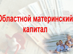 Ростовские мамы, имеющие право на региональный маткапитал, чаще тратят его на улучшение жилищных условий