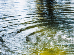 Двое ростовских подростков решили переплыть Дон и утонули на глазах спасателей