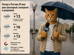 В Ростове продолжатся дожди и похолодание 30 мая