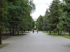 Из парка в Новочеркасске украли 89 светильников на полмиллиона рублей