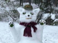 Снежный дом для нежного котика создали ростовские мастера