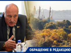 «Весь город должен подняться»: лидер донских справедливороссов призвал не допустить застройки рощи на левом берегу