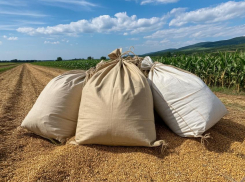 Ростовская области заняла одну из лидирующих позиций по агроэкспорту