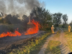 В Ростовской области площадь лесного пожара увеличилась до 82 га 