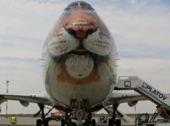 Двухпалубный Boeing 747-400 из-за непогоды приземлился в аэропорту «Платов»