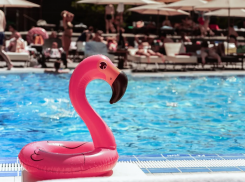 Семейные каникулы в СПА-клубе City Creek: ростовчане смогут отдохнуть выгодно