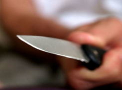 Поножовщина между разъяренными тестем и зятем произошла в Ростовской области