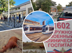 Громкое убийство в Новошахтинске и изменение генплана Ростова: подводим итоги недели