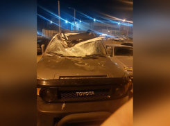 В Ростове мужчина выпал с 17-го этажа и остался жив