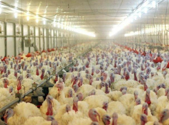 На активы «Евродона» не нашли покупателей