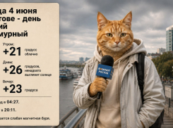 Жару до +26 градусов и слабую магнитную бурю прогнозируют в Ростове 
