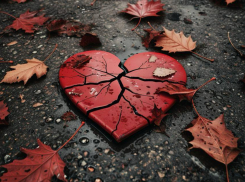 Молодой альфонс развел 60-летнюю ростовчанку на деньги и разбил ей сердце 