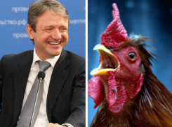 Истошный крик горластого петуха прервал выступление Александра Ткачева в Ростове