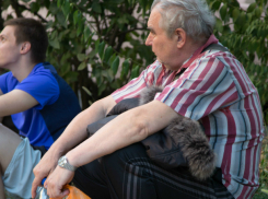 Мародеры лишают последних ценностей погорельцев с Театральной площади Ростова