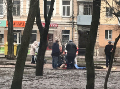 Гнилое дерево убило мать двухлетнего ребенка в Ростове