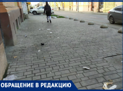 Ростовские власти штрафуют за неубранную листву, но не замечают мусор