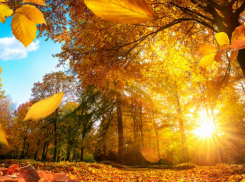 Небольшое потепление нагрянет в Ростов в середине рабочей недели