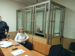 Экс-замгубернатор Ростовской области Кушнарев признал вину в суде, но по другой статье