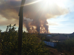 Крупный ландшафтный пожар тушат в Ростовской области