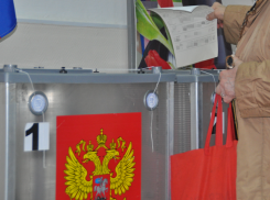 На пост губернатора Ростовской области претендуют пять человек