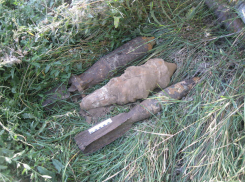 В Ростове около строящегося стадиона обнаружили авиабомбы 