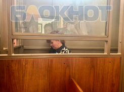 «Решение мог принять Голубев»: в суде по делу экс-главы донского Минфина всплыли детали рокового кредита 