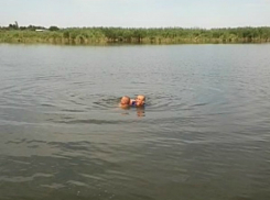 Коварный змей едва не утащил под воду молодого купальщика в Ростовской области